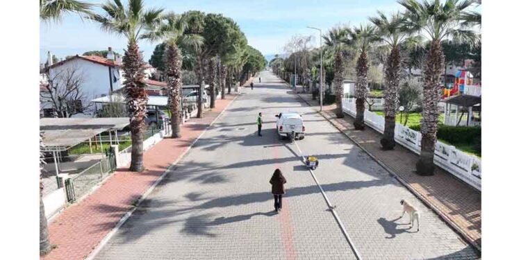 BALDEP Projesi Altınova Sahili’nde Sürüyor