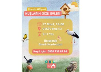 Kuşların Gizli Evleri