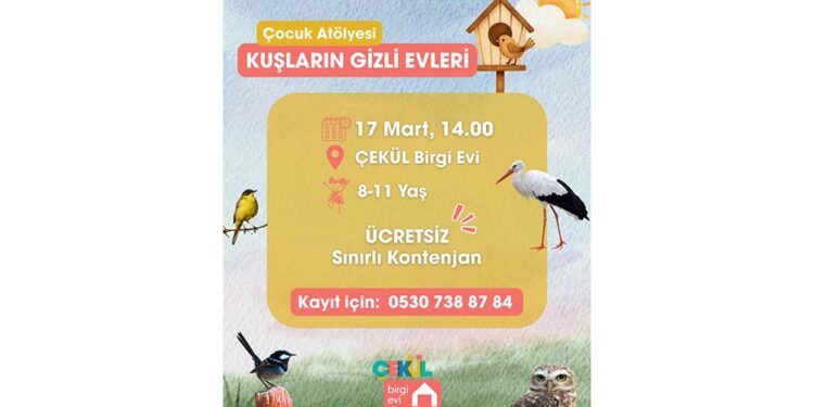 Kuşların Gizli Evleri