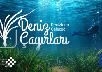 Milyar Dolarlık Ekolojik Tehdit