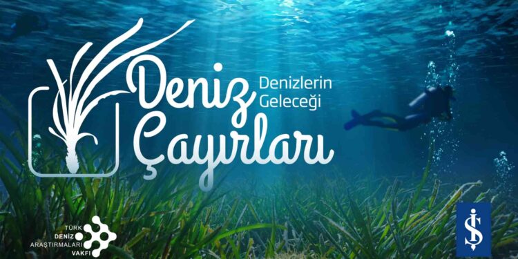 Milyar Dolarlık Ekolojik Tehdit
