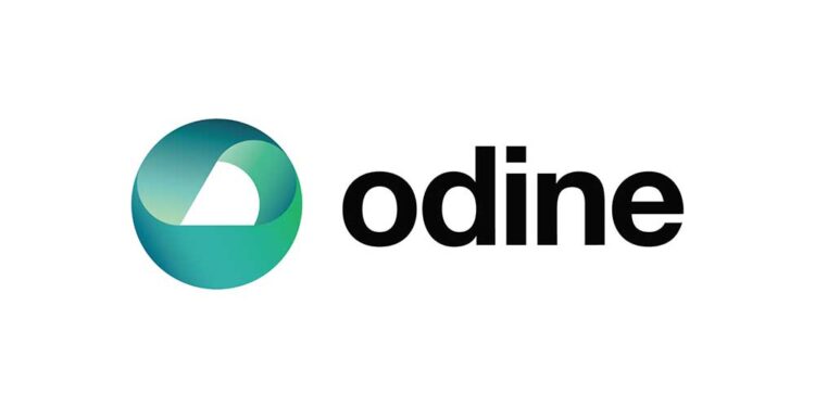 Odine’in Net Satışları 2025’te %57 Artarak 1,9 Milyar TL’ye Ulaştı