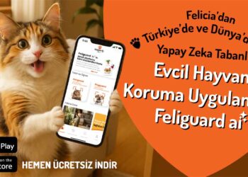 Felicia’nın Sosyal Sorumluluk Projesi Feliguard AI’ya Uluslararası Ödül