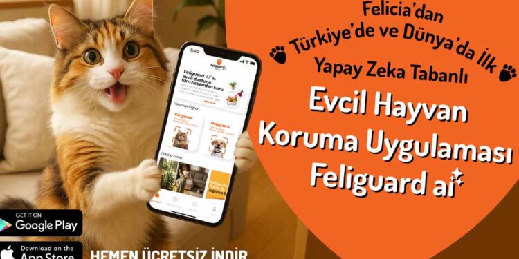 Felicia’nın Sosyal Sorumluluk Projesi Feliguard AI’ya Uluslararası Ödül