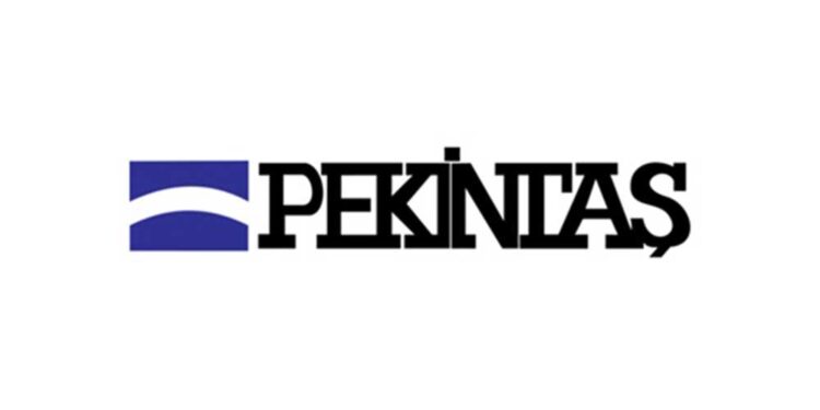 Pekintaş Holding’ten Manisa Seydiköy’de Depolamalı GES Yatırımı