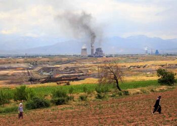 Kömür Çelişkisi: İnşa Artıyor, Kullanım Azalıyor