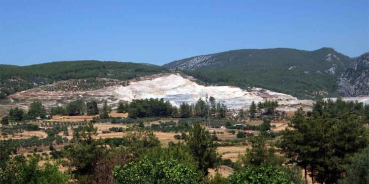 TEMA Vakfı: İklim Krizine Karşı Kaybedecek Zamanımız Kalmadı